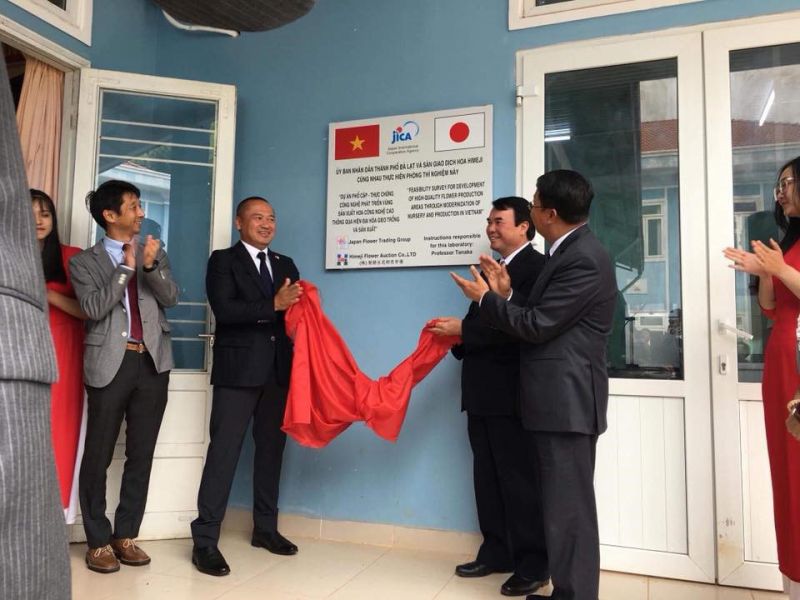 kết nối trồng hoa tại đà lạt